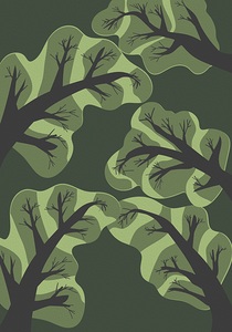 trees forest evening drawin