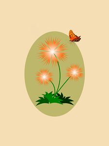 flowers butterfly nature floral bloom beautiful f