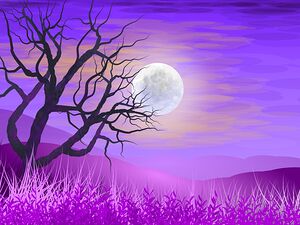 landscape illustration nature water river lake wa