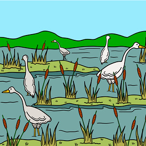 marshlands landscape birds nature reeds wetlands