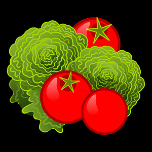 vegetables lettuce tomato salad plants vegetable