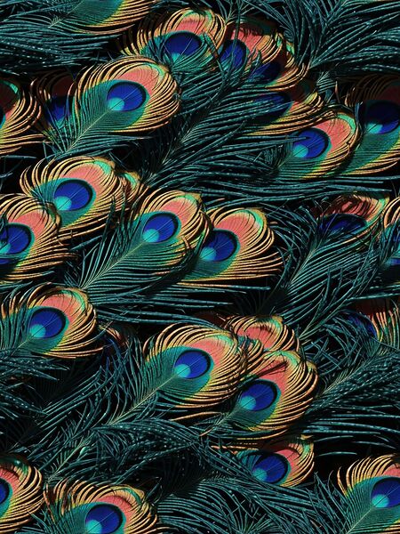 peacock feathers pattern seamless pattern Print