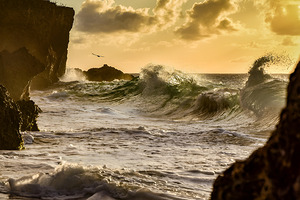 Golden Hour Surge