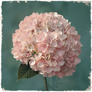 a romantic and nostalgic poster featuring a clust of a bouquet of flowers.