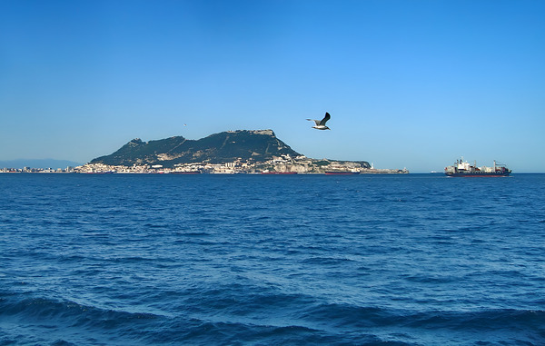 Gibraltars Majesty: A Seagulls View by larachdesign