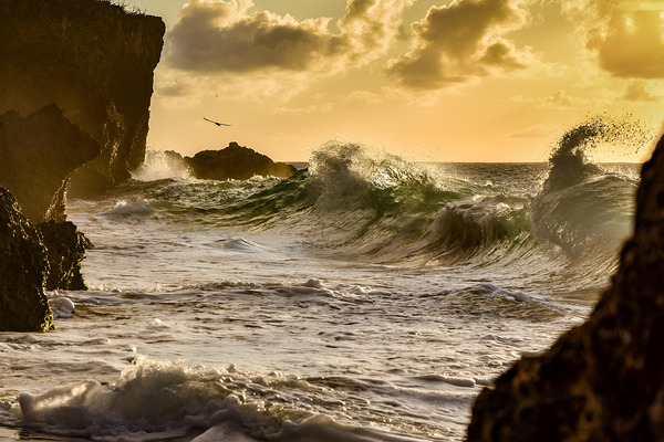 Golden Hour Surge by larachdesign