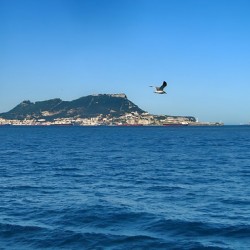 Gibraltars Majesty: A Seagulls View