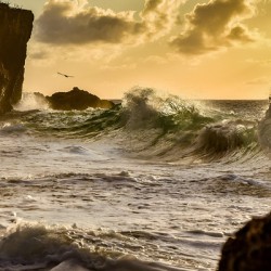 Golden Hour Surge