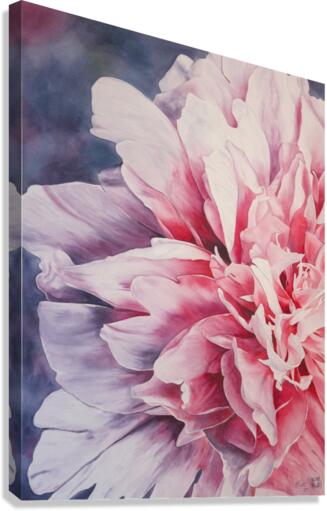 Pretty in pink Canvas Print