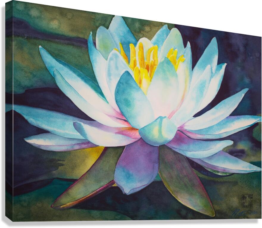 Lily on the water Canvas Print