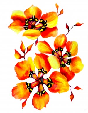 Watercolor Sparaxis Flowers