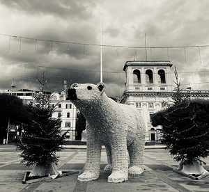 City bear noir