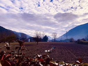 Valley hues