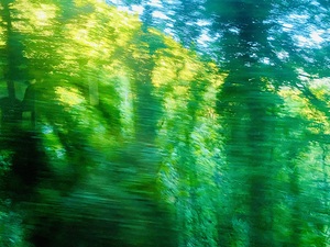 Moving colors