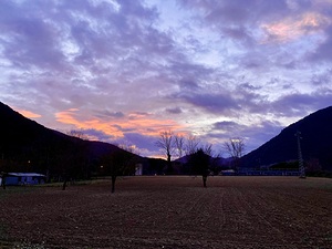 Kind of dawn