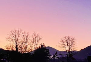 Dawn