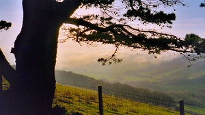 Welsh countryside near Aberystywth