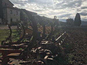 Old plows