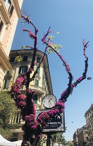City corner