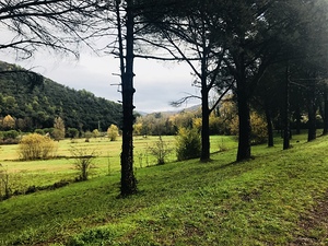 Country view 2