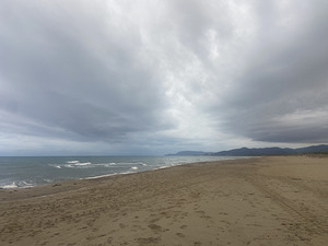 The stormy sands of the sea