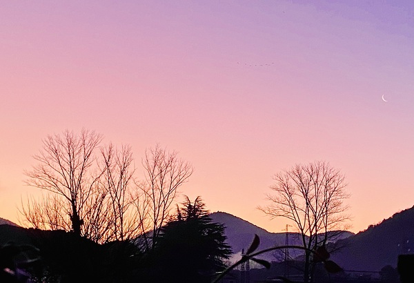 Dawn Print