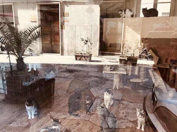 Window reflections Print