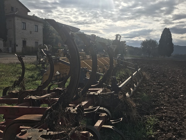 Old plows Print