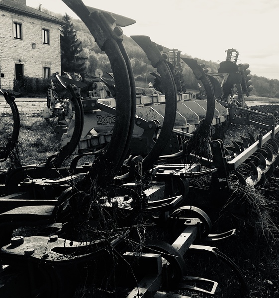 Old plows Print