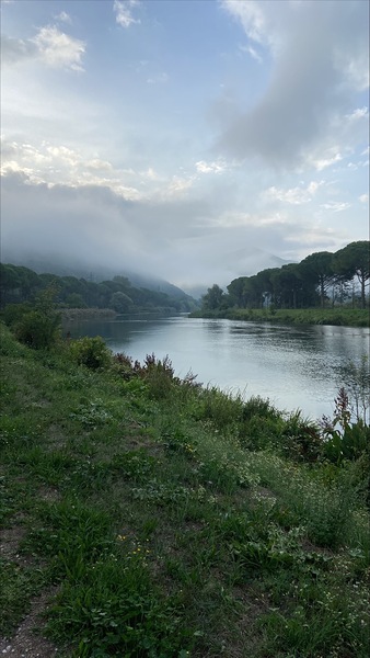 River trail Print