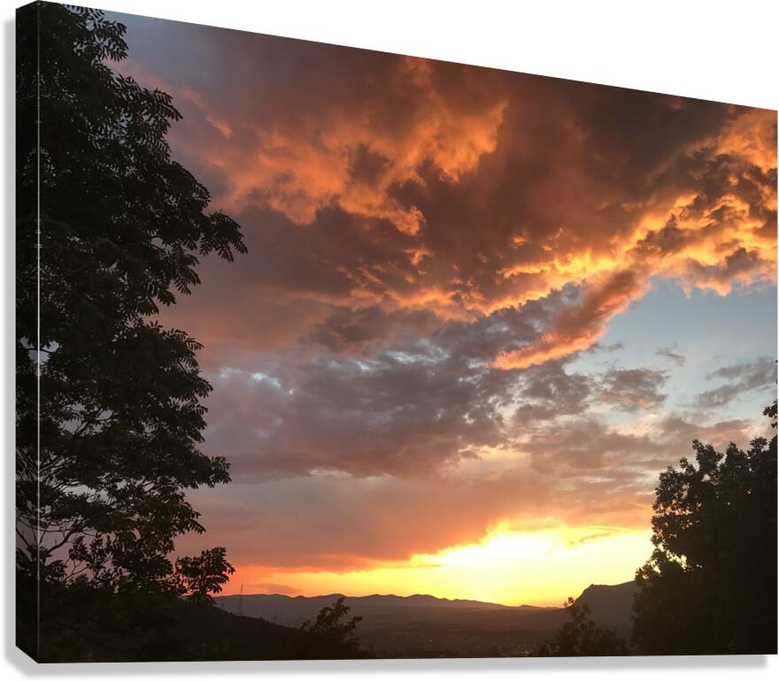 Sunset colors Canvas Print