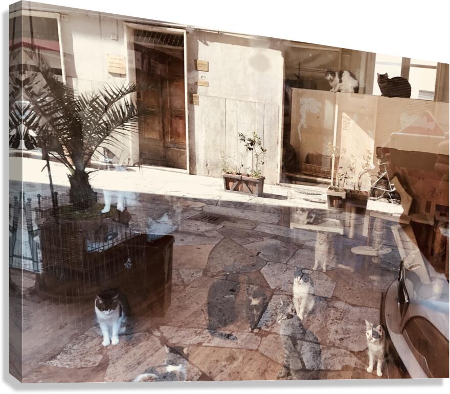 Window reflections Canvas Print