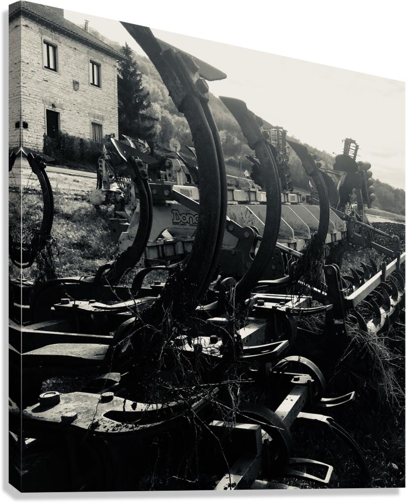 Old plows Canvas Print