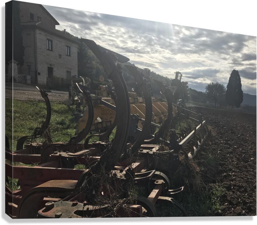 Old plows Canvas Print