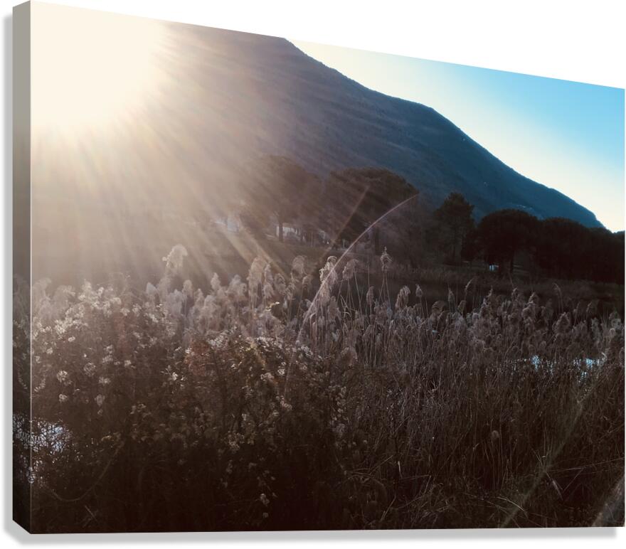 Rays Canvas Print