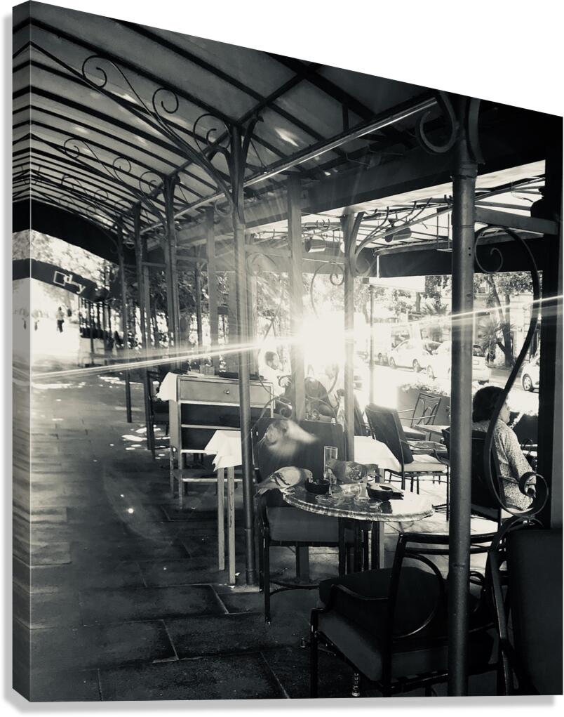 Breakfast time Canvas Print