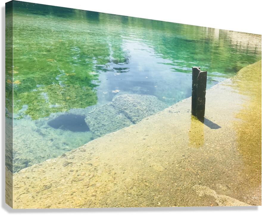 Meditating Canvas Print