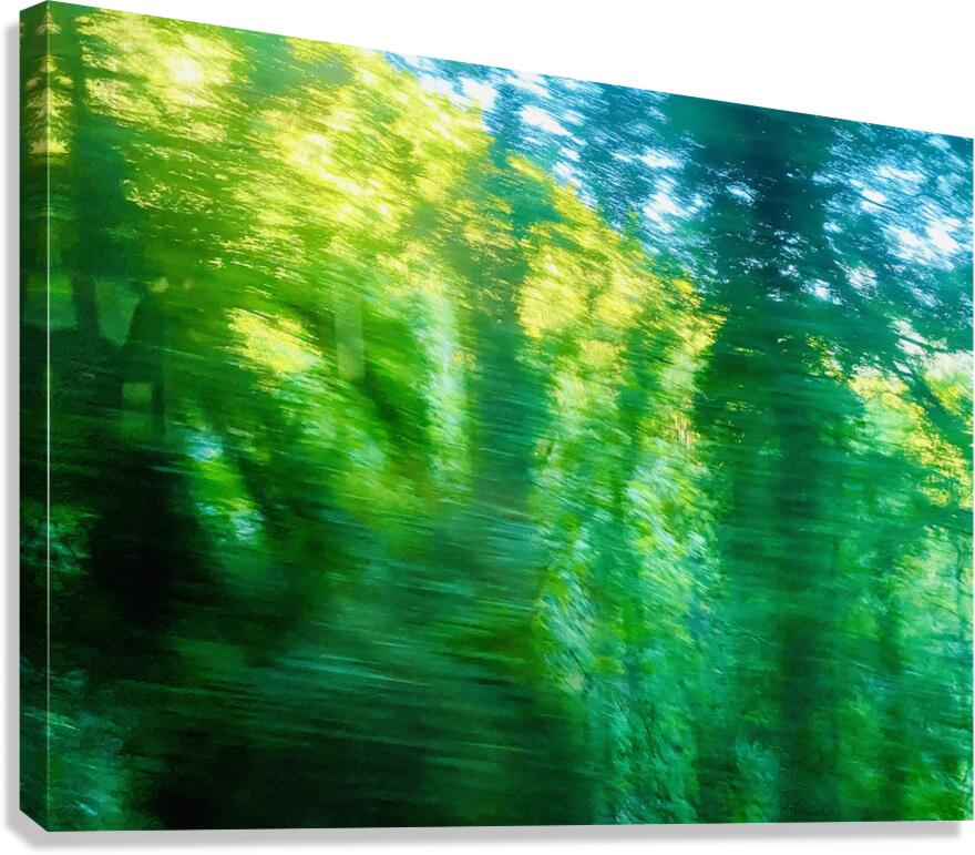 Moving colors Canvas Print