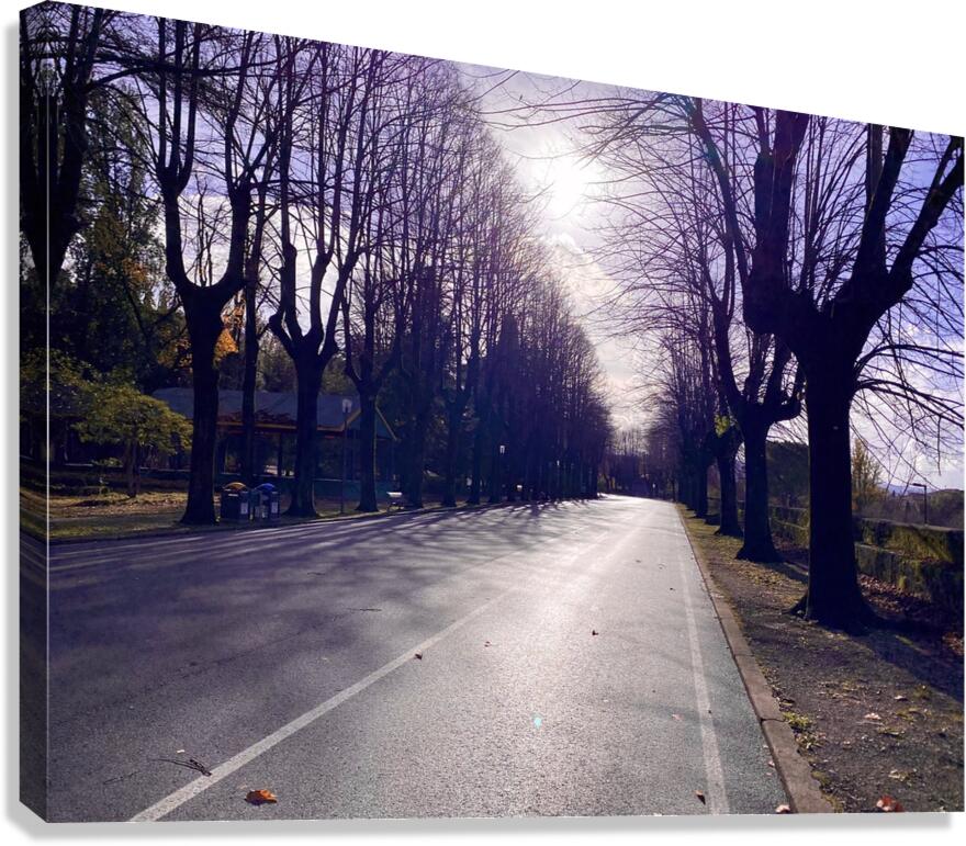 Winter Canvas Print