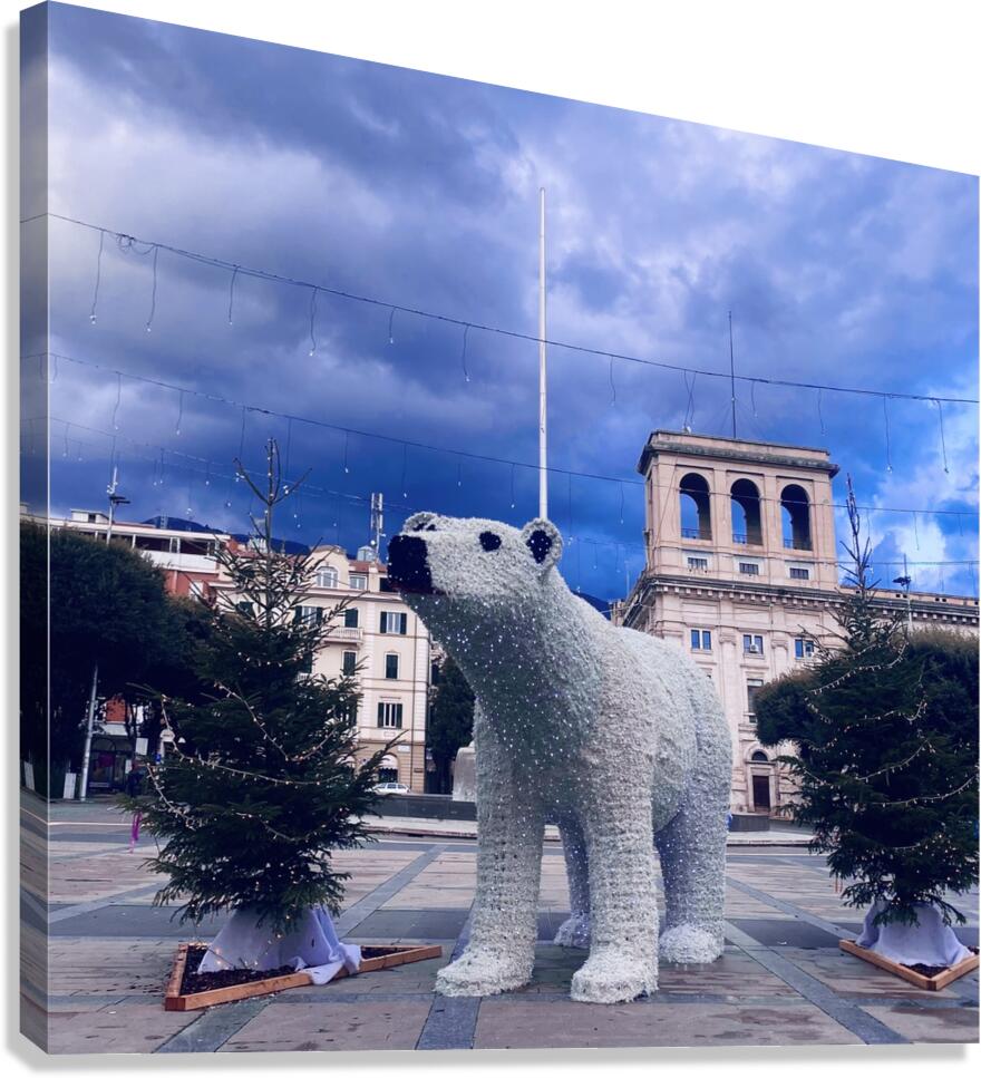 City bear Canvas Print