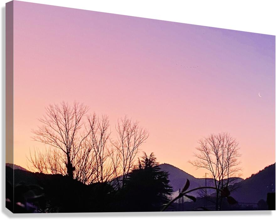 Dawn Canvas Print
