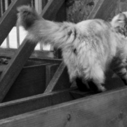 Finding balance to look back