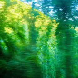 Moving colors