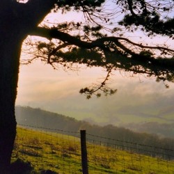 Welsh countryside near Aberystywth