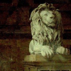 Lion statue at the entrance of Boston Library Boston MA