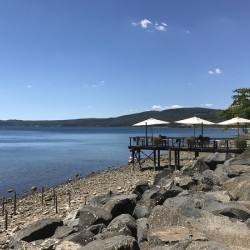 The quiet of the lake