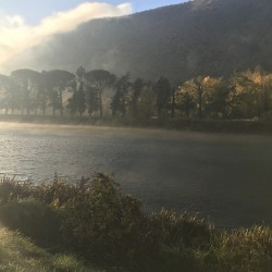 River and trees