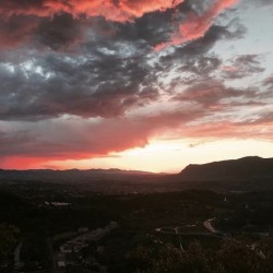 Pink sunset