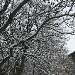 Winterland at the park