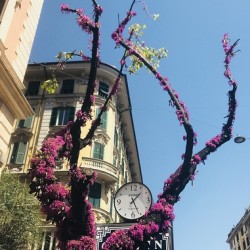 City corner